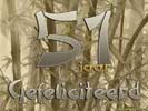 51 jaar bamboo