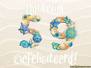 59 jaar schelpen