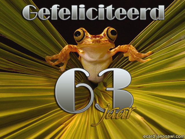 63 jaar kikker