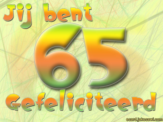 65 jaar fest