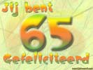 65 jaar fest