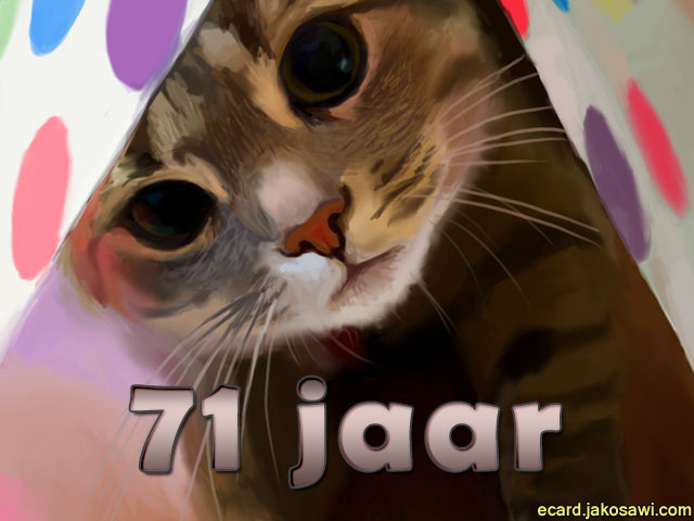 71 jaar kat