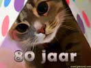 80 jaar kat