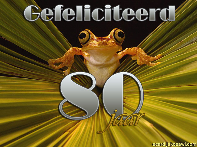 80 jaar kikker