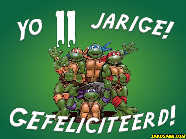 11 jaar tmnt turtles