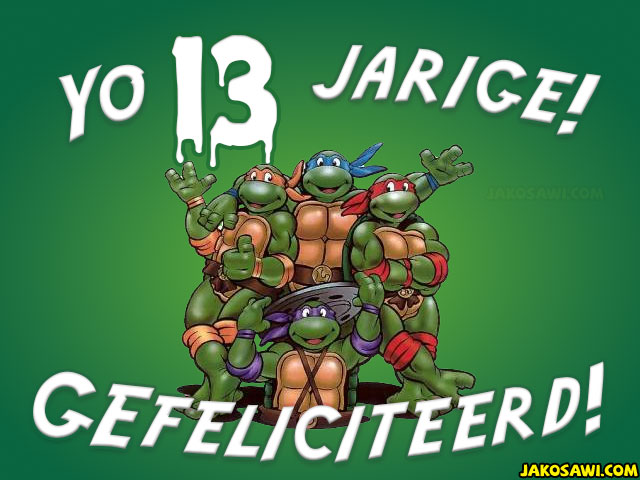 13 jaar tmnt turtles