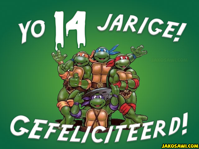 14 jaar tmnt turtles