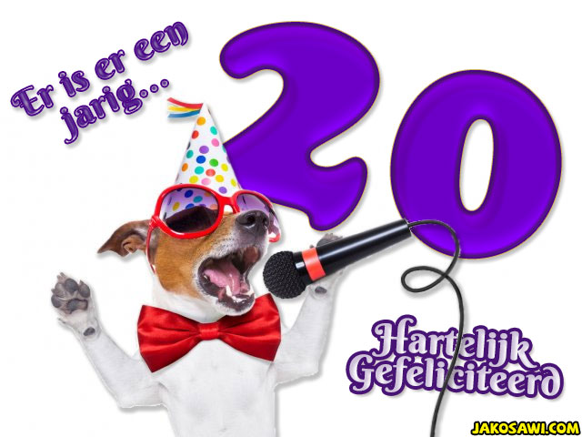 20 jaar zang