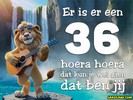 36 jaar leeuw muziekaal