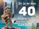 40 jaar leeuw muziekaal