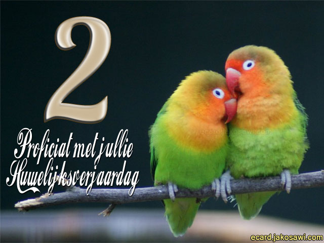 02 jaar lovebirds 1401