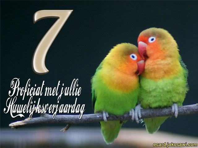 07 jaar lovebirds 1401