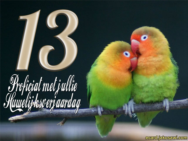 13 jaar lovebirds 1401
