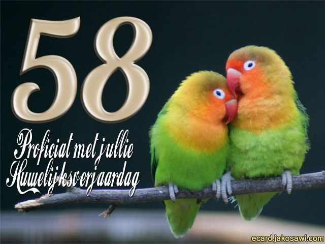 58 jaar lovebirds 1401