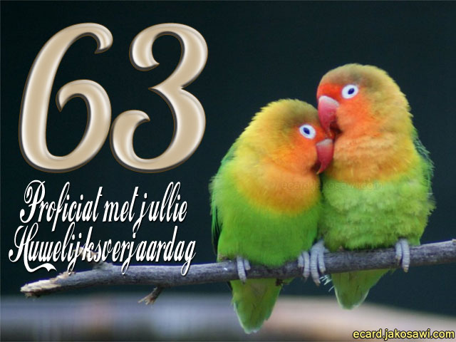 63 jaar lovebirds 1401