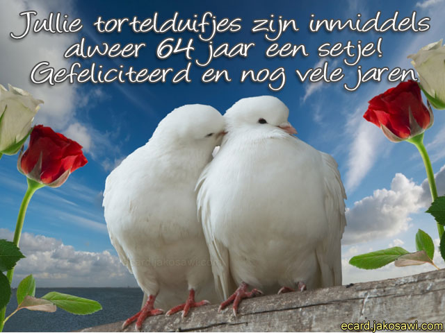 64 jaar tortelduifjes