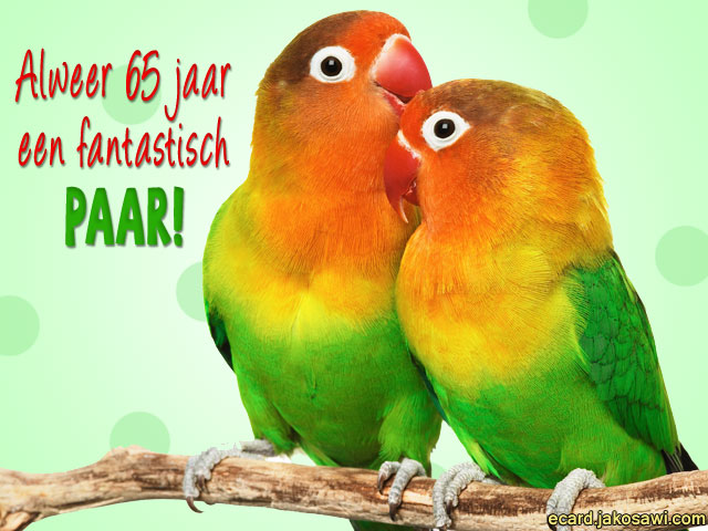 65 jaar een paar 1501