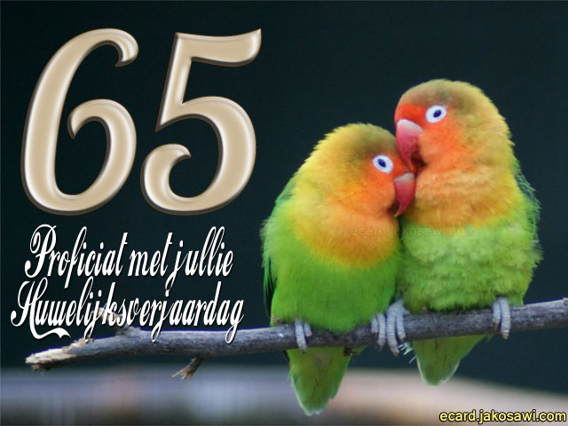 65 jaar lovebirds 1401