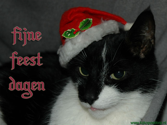 kerst47