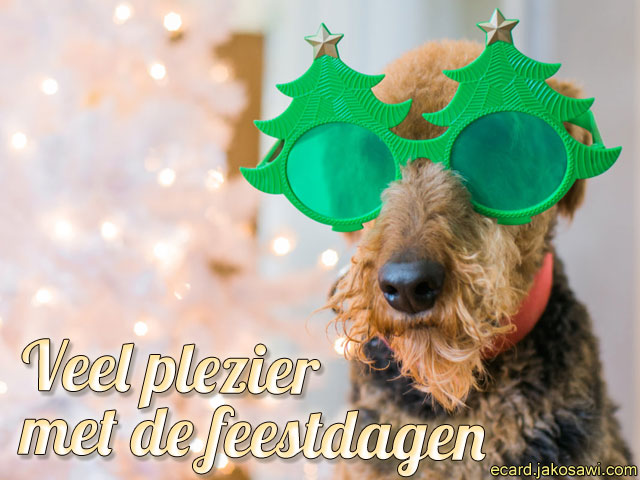 plezier feestdagen 1601